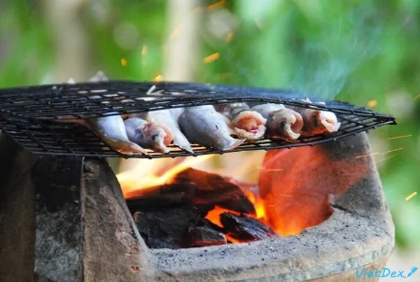 Đặc sản Cá chốt Gia Lai vừa dai, vừa thơm với bị béo ngậy