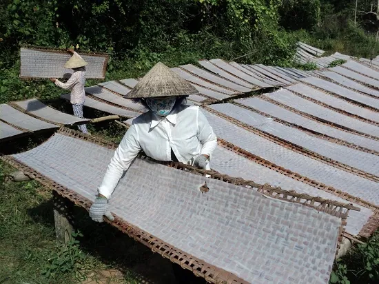Đặc sản Bánh tráng Trà Vi mỏng, chất lượng