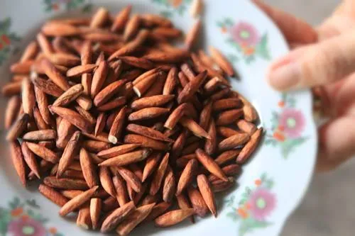 Đặc sản Ngọt bùi mứt hạt bàng Côn Đảo thơm ngon, bùi béo