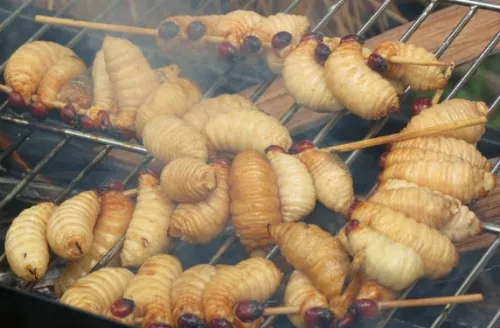 Đuông dừa – Món ngon đặc sản của miền Tây Nam Bộ