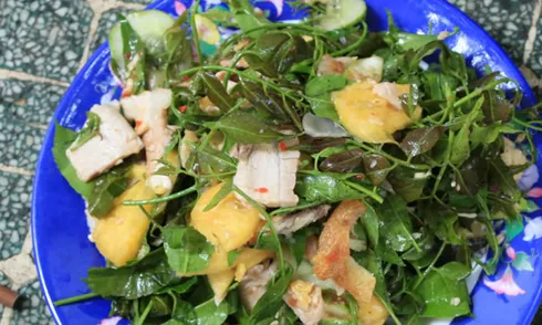 Gỏi sầu đâu An Giang ngọt đắng mang hương vị miền Tây