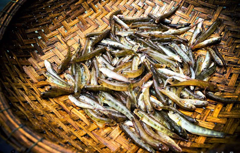 Cá bống vùi tro món ngon đặc sản Lai Châu