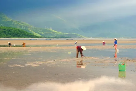 Mắm sò Lăng Cô thơm ngon nức tiếng