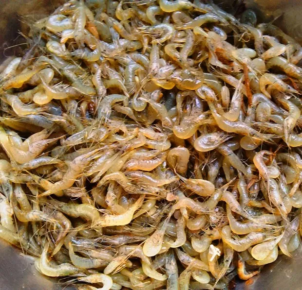 Thưởng thức bún tôm Phù Mỹ ngon ngỡ ngàng