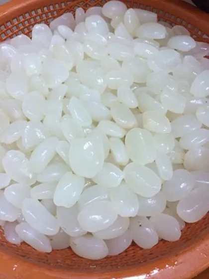 Các món ngon từ hạt đác Nha Trang