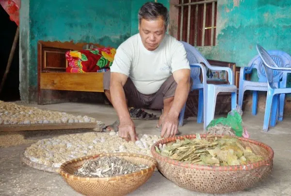 Đặc sản rựu men lá của người Nùng, Bắc Giang thơm nức mũi
