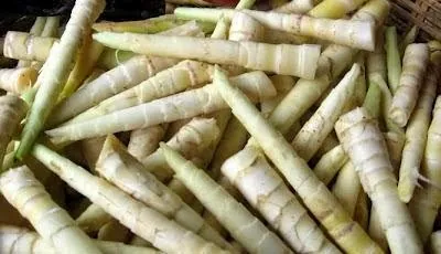 Món đặc sản măng sặt nghĩa lộ ở Yên Bái