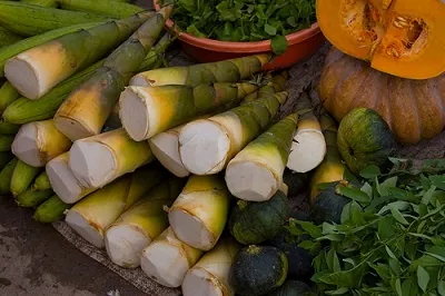 Nem măng đắng món đặc sản của người Tày ở Lào Cai