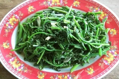 Nộm rau dớn món đặc sản lạ miệng của Lai Châu