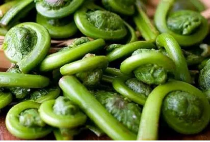 Món đọt choại đặc sản dân dã của Hậu Giang