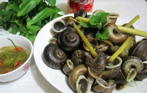 Món đặc sản ốc xu núi Bà Tây Ninh rất bổ dưỡng