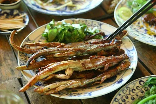 Món thằn lằn núi Bà Đen đặc sản độc lạ Tây Ninh
