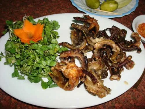 Món thằn lằn núi Bà Đen đặc sản độc lạ Tây Ninh
