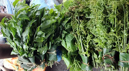 Đậm đà, ngọt mát với rau sắng chùa Hương