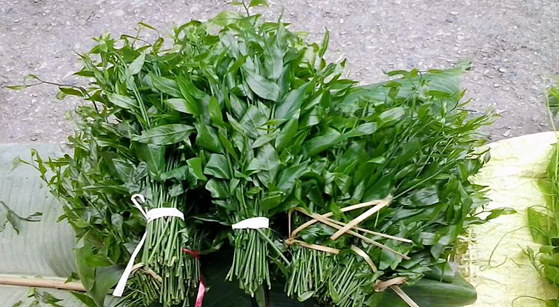 Đậm đà, ngọt mát với rau sắng chùa Hương