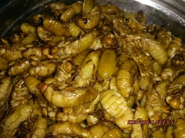 Những món ngon chết khiếp thử thách người ăn