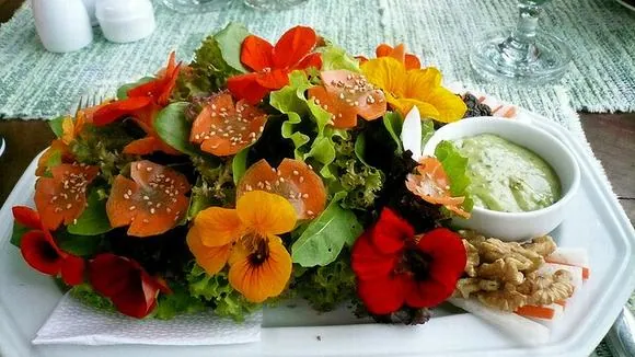 Khám phá những loài hoa được dùng để nấu ăn