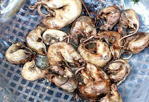 Những món ngon chết khiếp thử thách người ăn