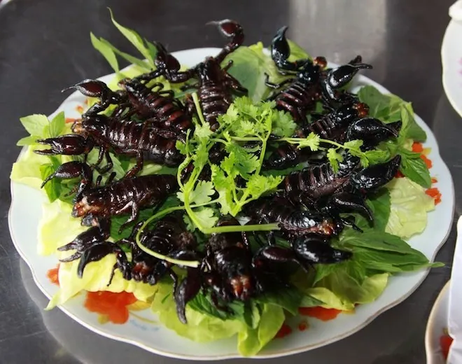 Những món ngon đặc sản nhất định phải ăn khi đến An Giang