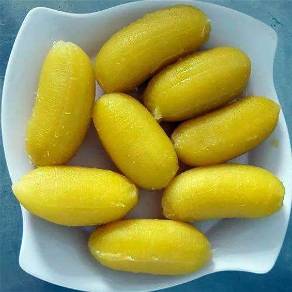 Về Bến Tre thưởng thức món chuối sáp ngon dẻo đến miếng cuối cùng