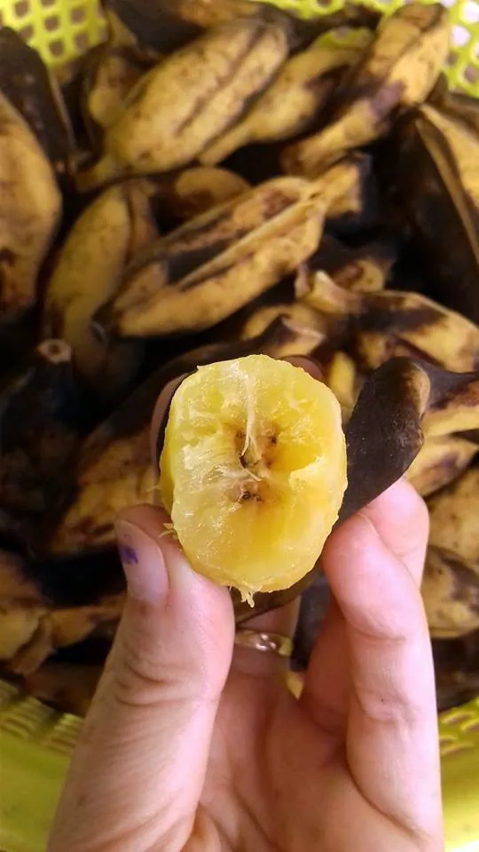 Về Bến Tre thưởng thức món chuối sáp ngon dẻo đến miếng cuối cùng