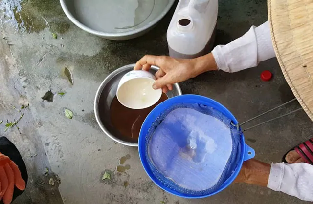 Nước mắm rươi Trà Vinh – Món đặc sản nên mua về làm quà