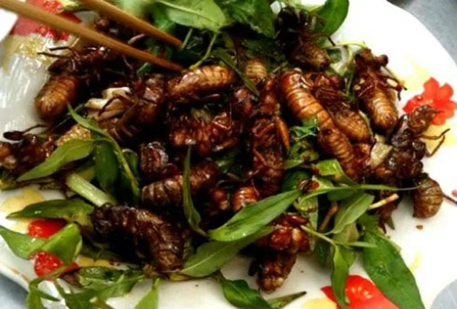 Ve sầu chiên giòn – Đặc sản Bình Phước ngon quên sầu