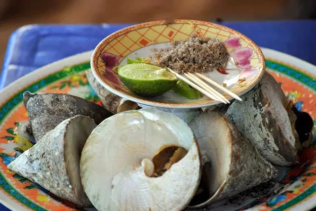 Thưởng thức hương vị ngon mà lạ của ốc vú nàng Cù Lao Chàm