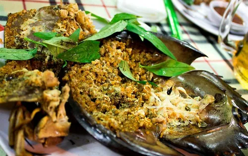 Sam biển nướng -món ngon khó quên khi đến Cát Bà