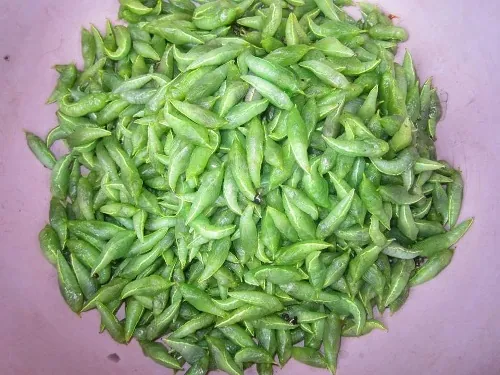 Nhộng “sâu muồng” món ăn đặc trưng của đồng bào Ê-Đê