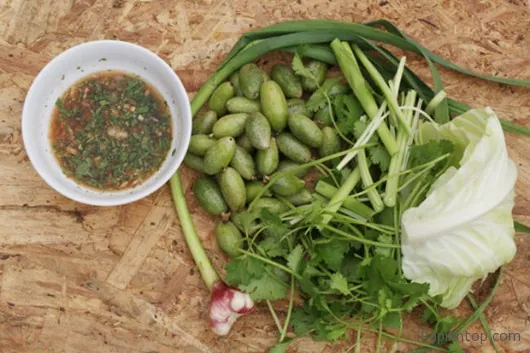 Bắp cải cuộn nhót xanh chấm chéo, một món ăn độc đáo từ Điện Biên