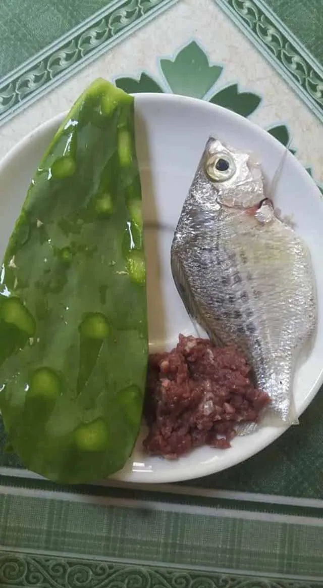 Độc đáo món canh xương rồng trong bửa cơm của người dân Bình Định