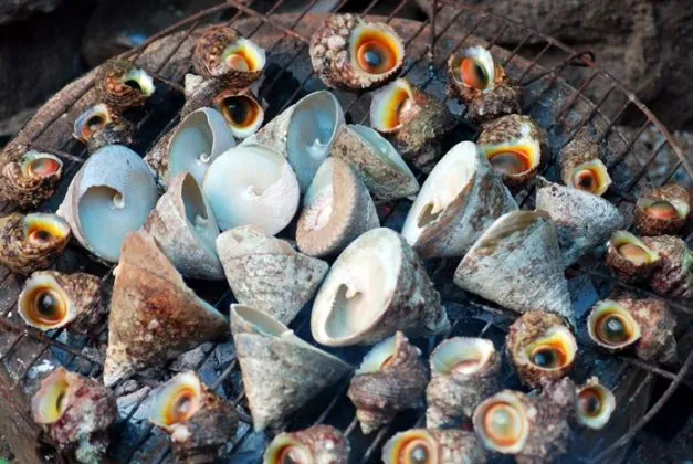 Du lịch Côn Đảo bạn nhất định nên thử qua món Ốc Vú Nàng