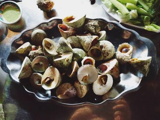 Du lịch Côn Đảo bạn nhất định nên thử qua món Ốc Vú Nàng