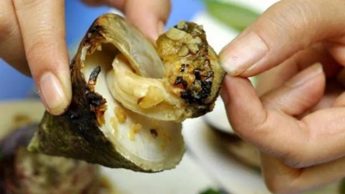 Du lịch Côn Đảo bạn nhất định nên thử qua món Ốc Vú Nàng