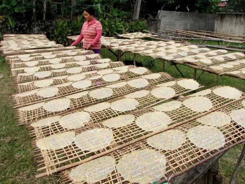 Bánh đa nem Thổ Hà – Món đặc sản nổi tiếng Bắc Giang
