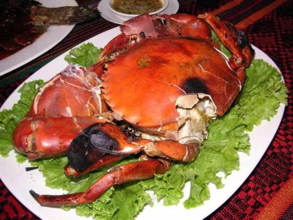 Đặc sản cua da nức tiếng khi đến với vùng Yên Dũng-Bắc Giang