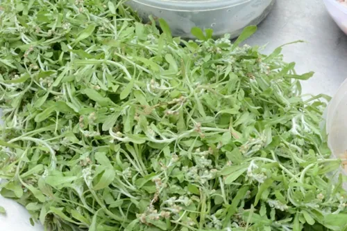Bánh khúc làng Diềm nổi tiếng của làng quan họ Bắc Ninh
