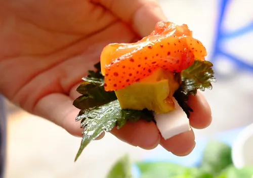 Sứa đỏ – món ngon chỉ có dịp thưởng thức mỗi khi giao mùa ở Hà Nội