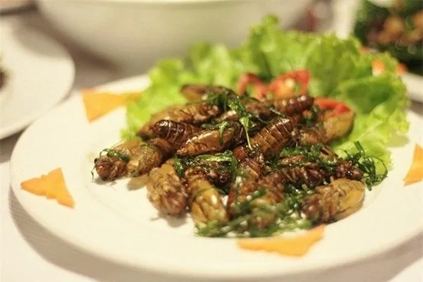 Du lịch Bắc Giang thưởng thức ve rang đặc sản