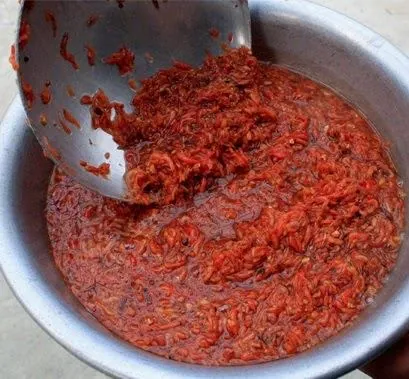 Mắm tép Gia Viễn – Món ăn không thể nào quên ở vùng đất Ninh Bình