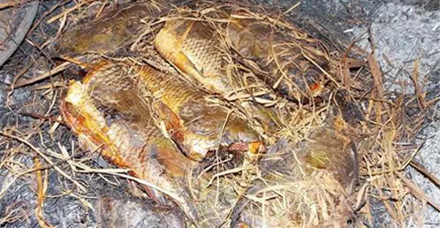 Cá nướng rơm mùa gặt vùng quê chiêm trũng Nam Định, Ninh Bình