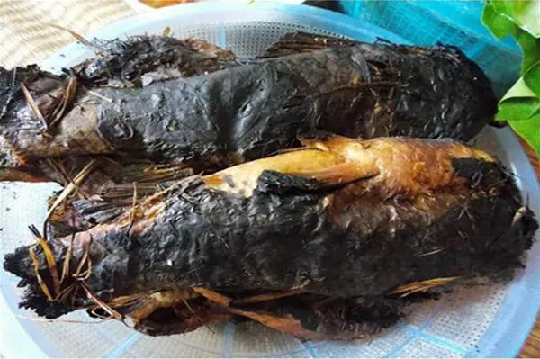 Cá nướng rơm mùa gặt vùng quê chiêm trũng Nam Định, Ninh Bình