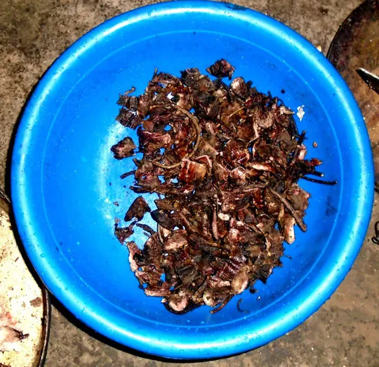 Lên Tả Phìn thưởng thức món thịt chuột rừng gác bếp