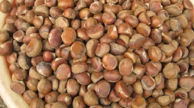 Đặc sản hạt dẻ rừng vùng đất Sapa