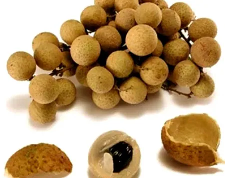 Đặc sản chè long nhãn hạt sen tiến vua đất phố Hiến