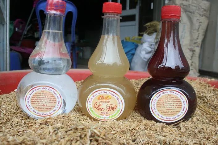 Về Hưng Yên nếm thử rượu Lạc Đào đặc sản vùng miền