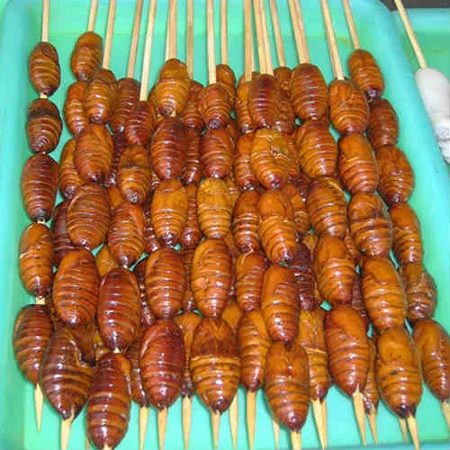 Tằm cọ Phú Thọ một lần nếm nhớ mãi không quên