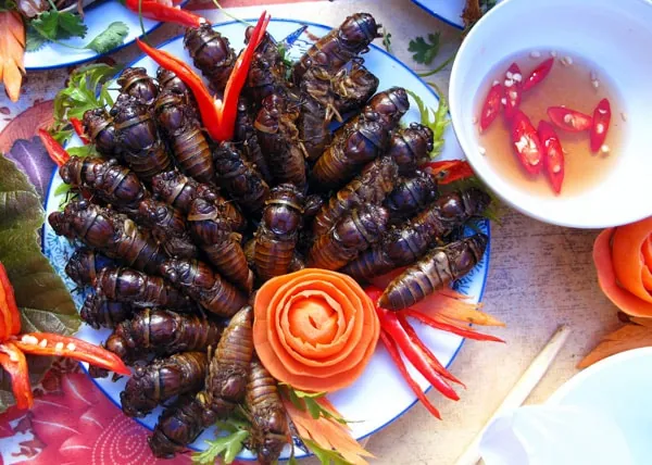 Ve sầu rán Lai Châu – Món đặc sản ít ai dám thử