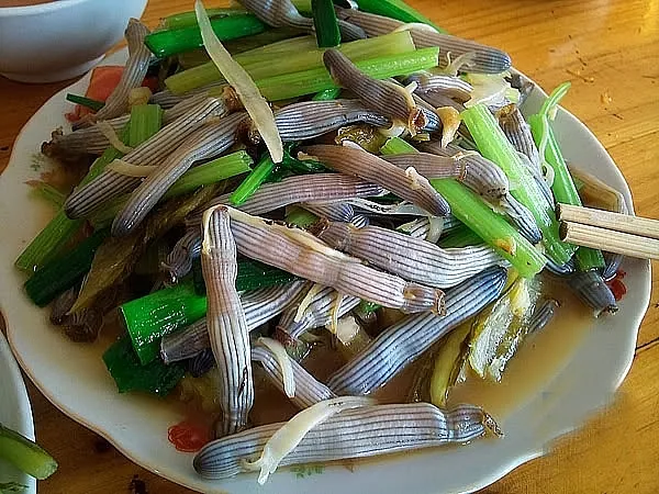 Hải sản Quảng Ninh không thể không ăn thử